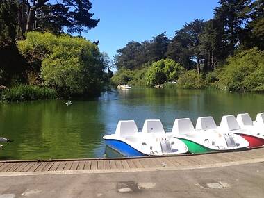 25 Best Things to Do in San Francisco with Kids for Nonstop Fun