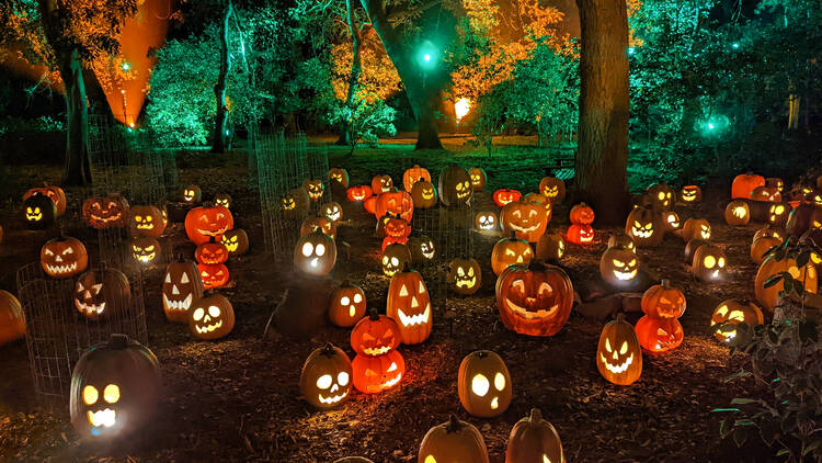 Carved is bringing a mile-long pumpkin trail to Descanso Gardens