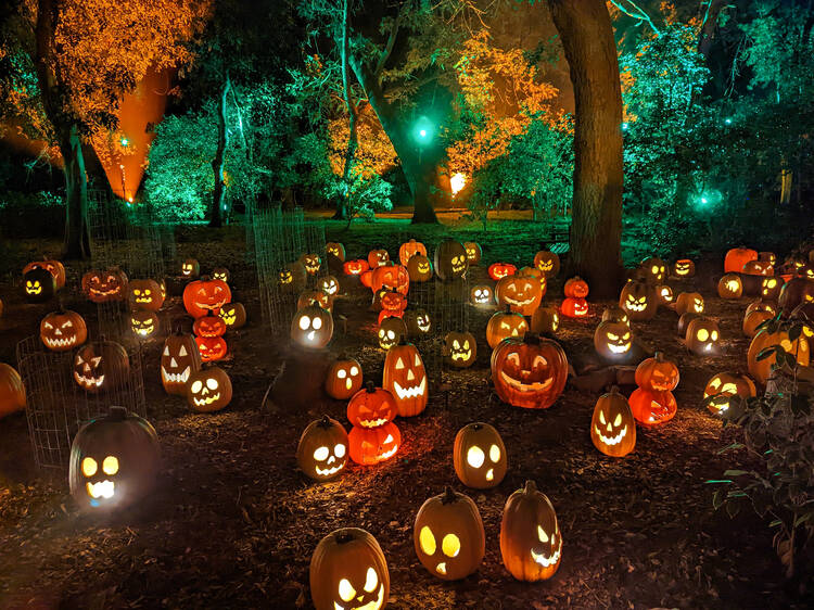 2024 Halloween Guide Los Angeles and Beyond - The Places Where We Go