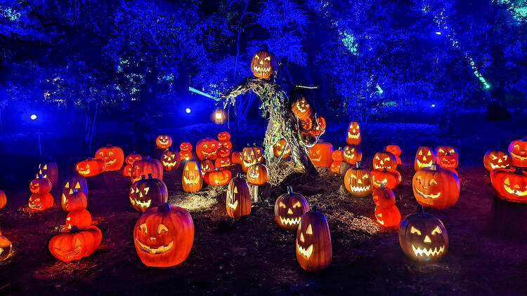 51 Best Halloween Events in L.A. for Spooky Fun in 2023