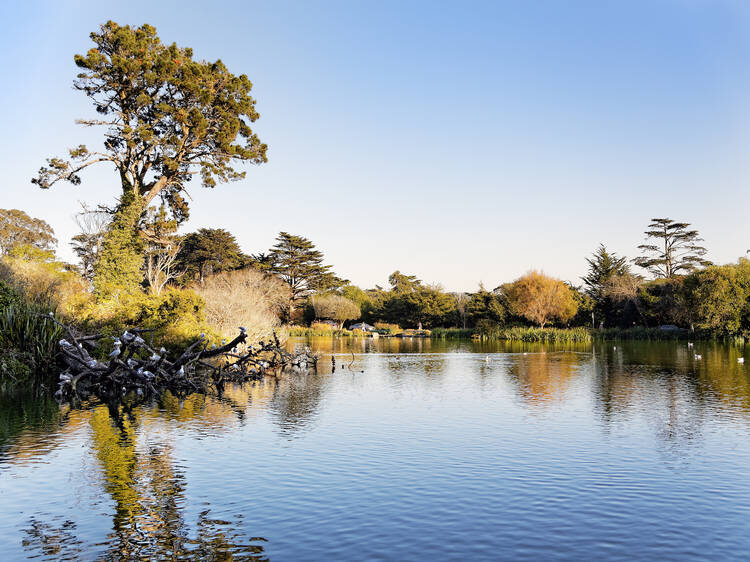 Stow Lake