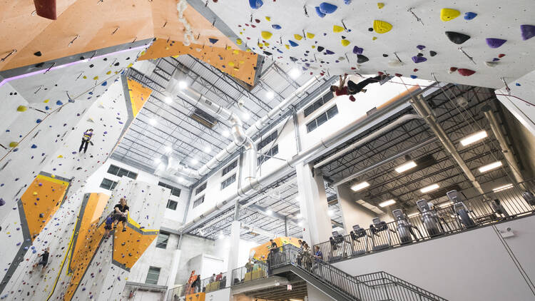 The climbing walls at First Ascent Avondale