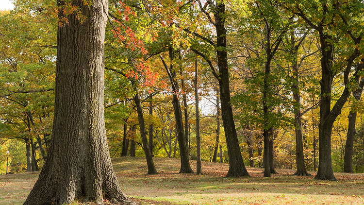 Visit an Emerald Necklace park