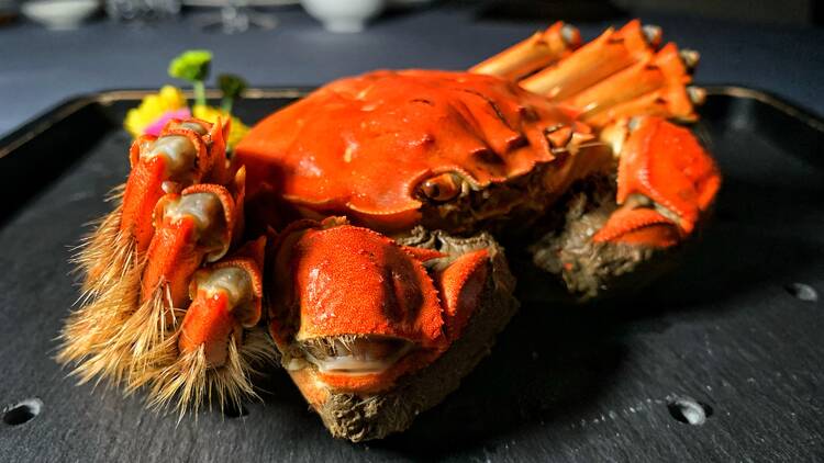 yong fu hong kong crab