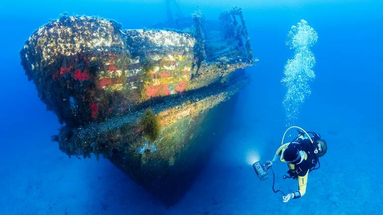 Dive deep into wrecks