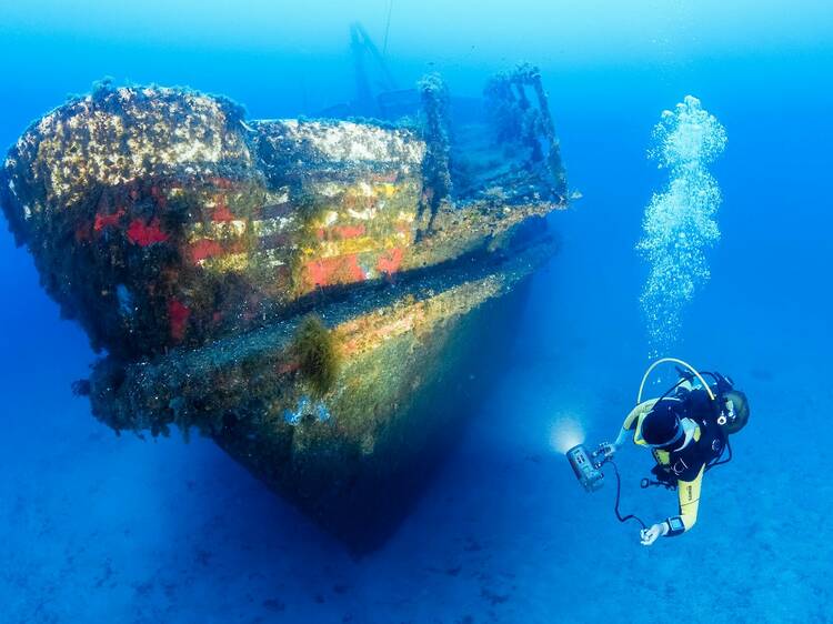 Dive deep into wrecks