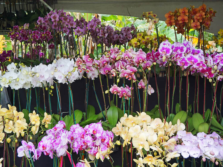 Wander the lush grounds at Fairchild Tropical Botanic Garden