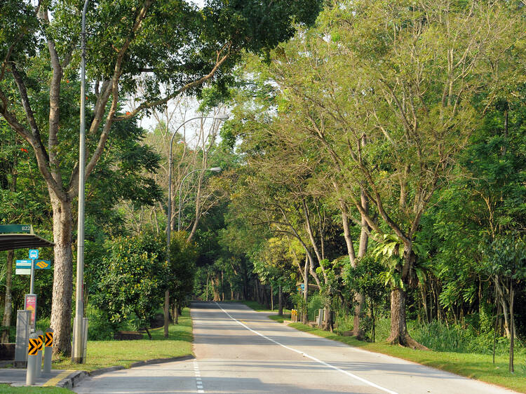 Lim Chu Kang Road