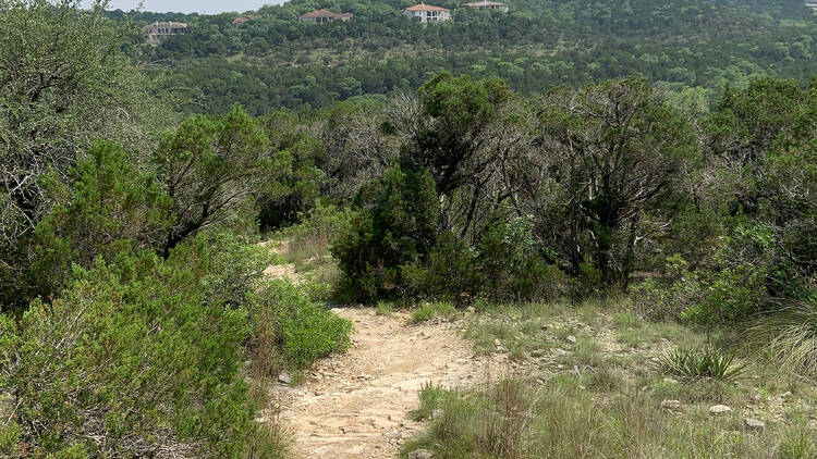 Wild Basin Wilderness Preserve