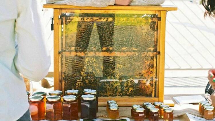  BCN Honey Fest