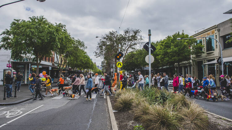 A parade of people and dogs in costumes walk across a pedestrian crossing.