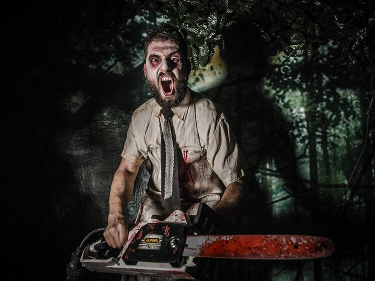 Entrar al Pasaje del Terror