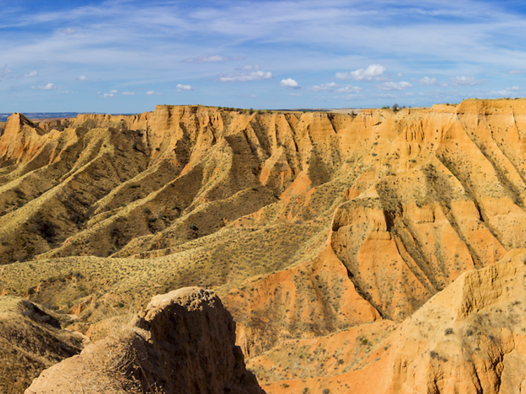 Barrancas de Castrejón (Toledo)