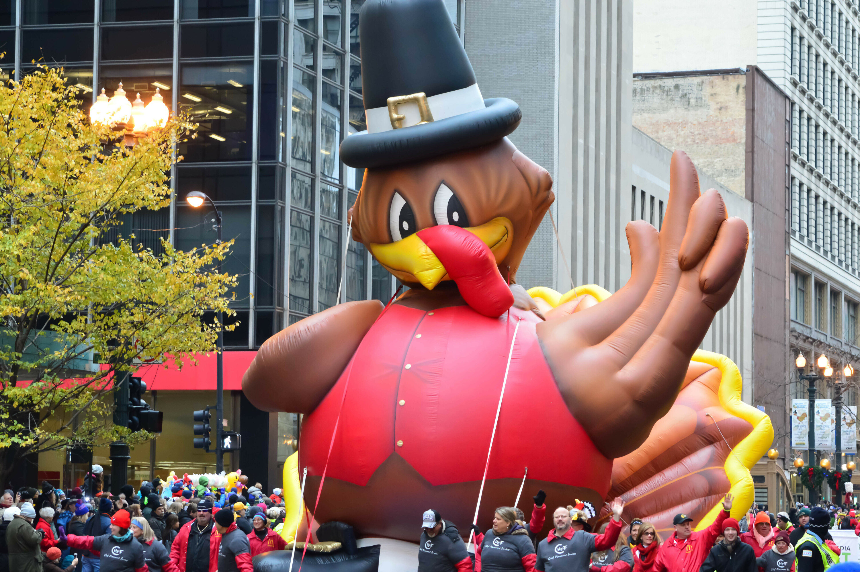 The ultimate Thanksgiving and Black Friday guide: What to know about the  parade, store openings and closures – NBC Chicago