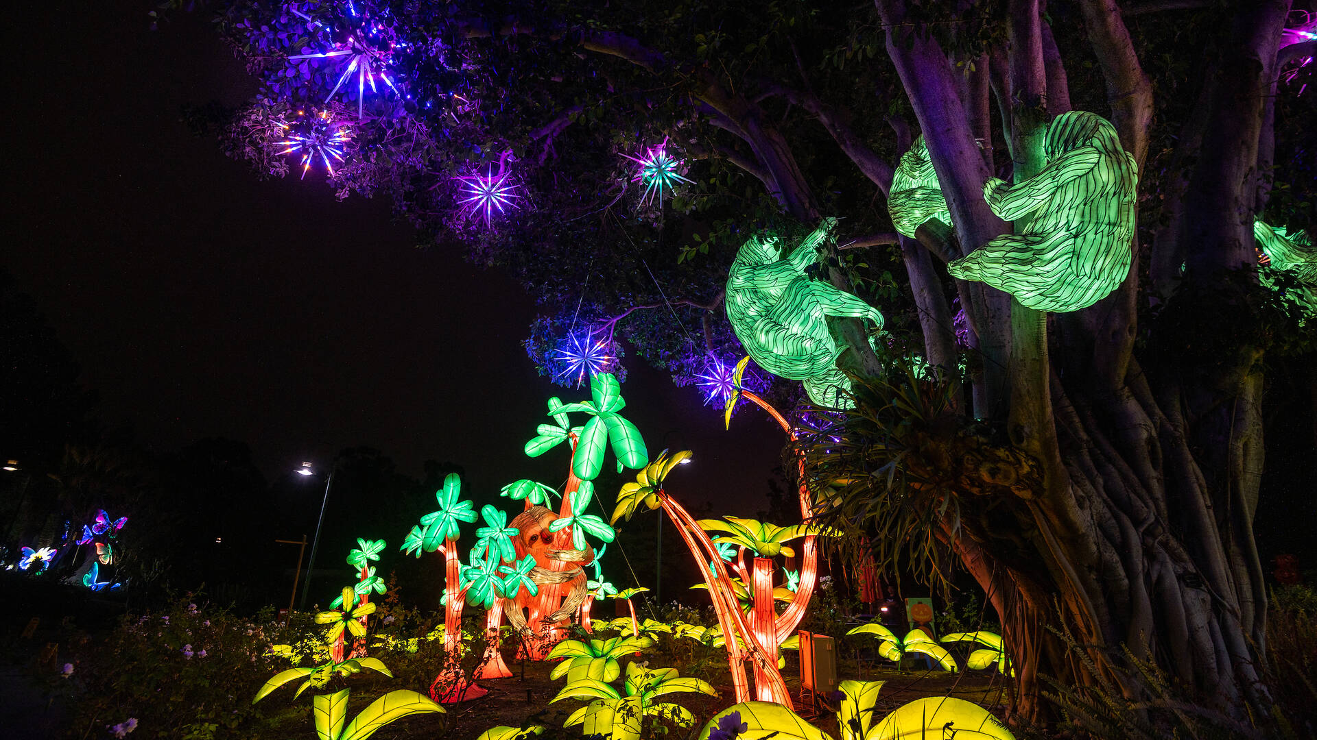 LA Zoo Lights Things to do in Los Angeles