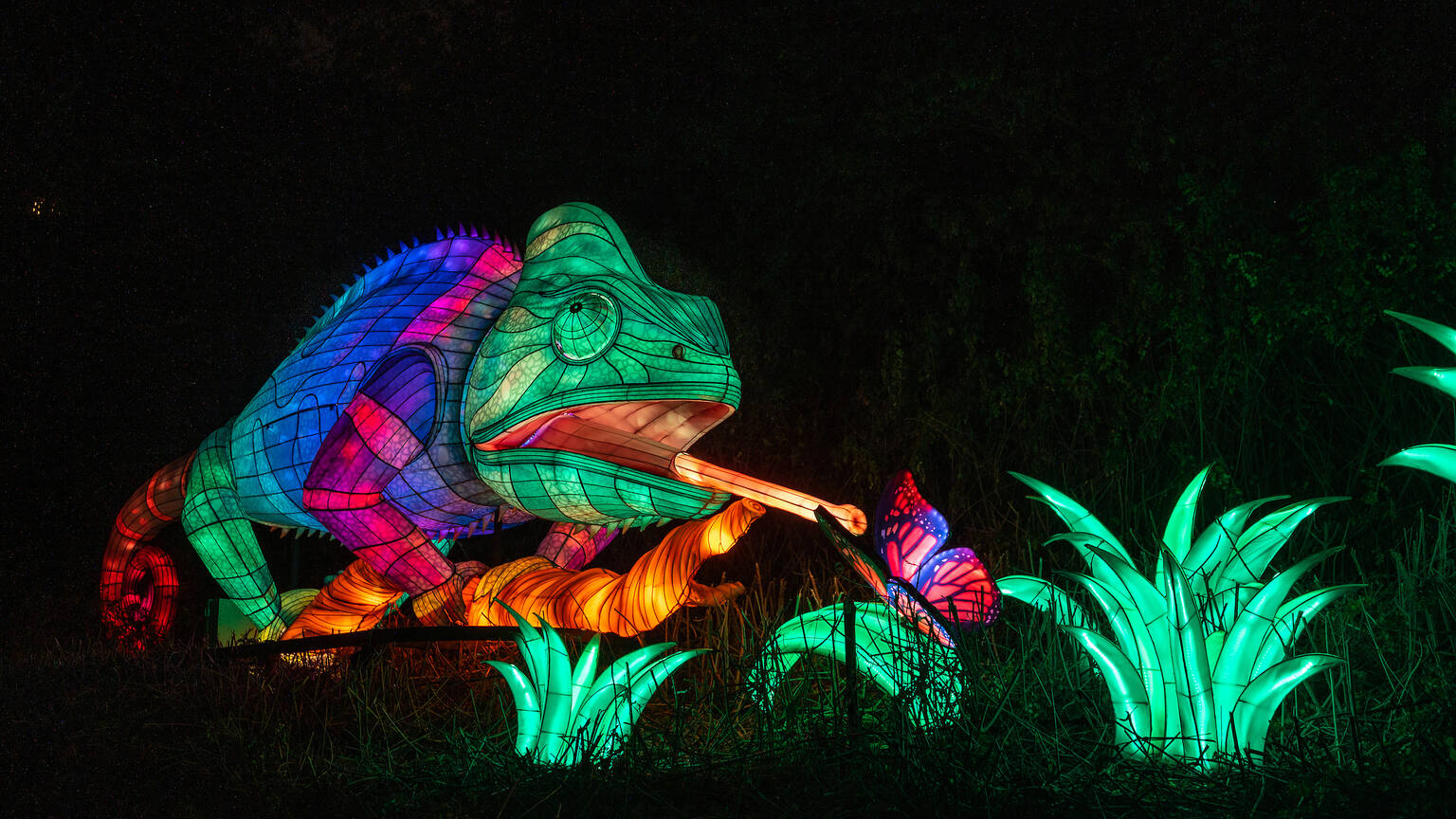 LA Zoo Lights Things to do in Los Angeles