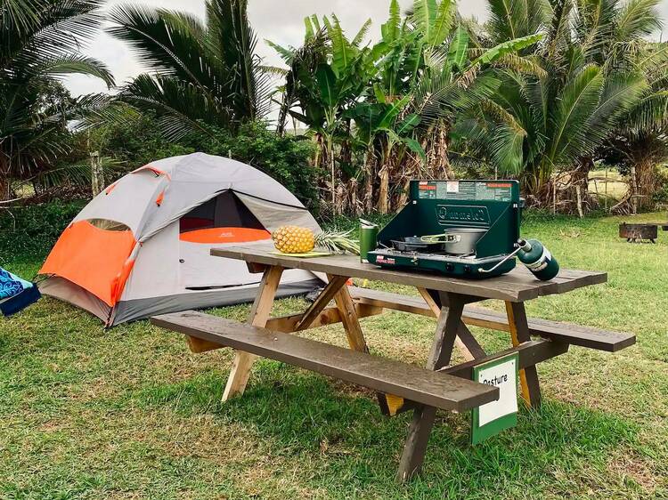 The tropical camping at a Maui campground