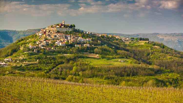 Motovun hosts Teran and Truffle Festival