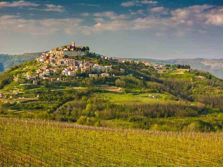 Motovun hosts Teran and Truffle Festival