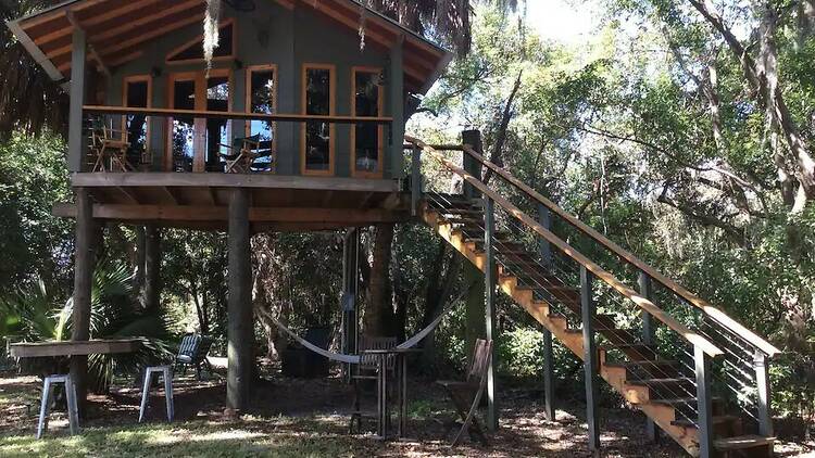 The treehouse in the woods