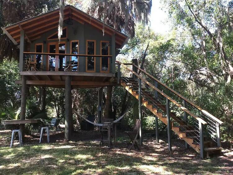 The treehouse in the woods