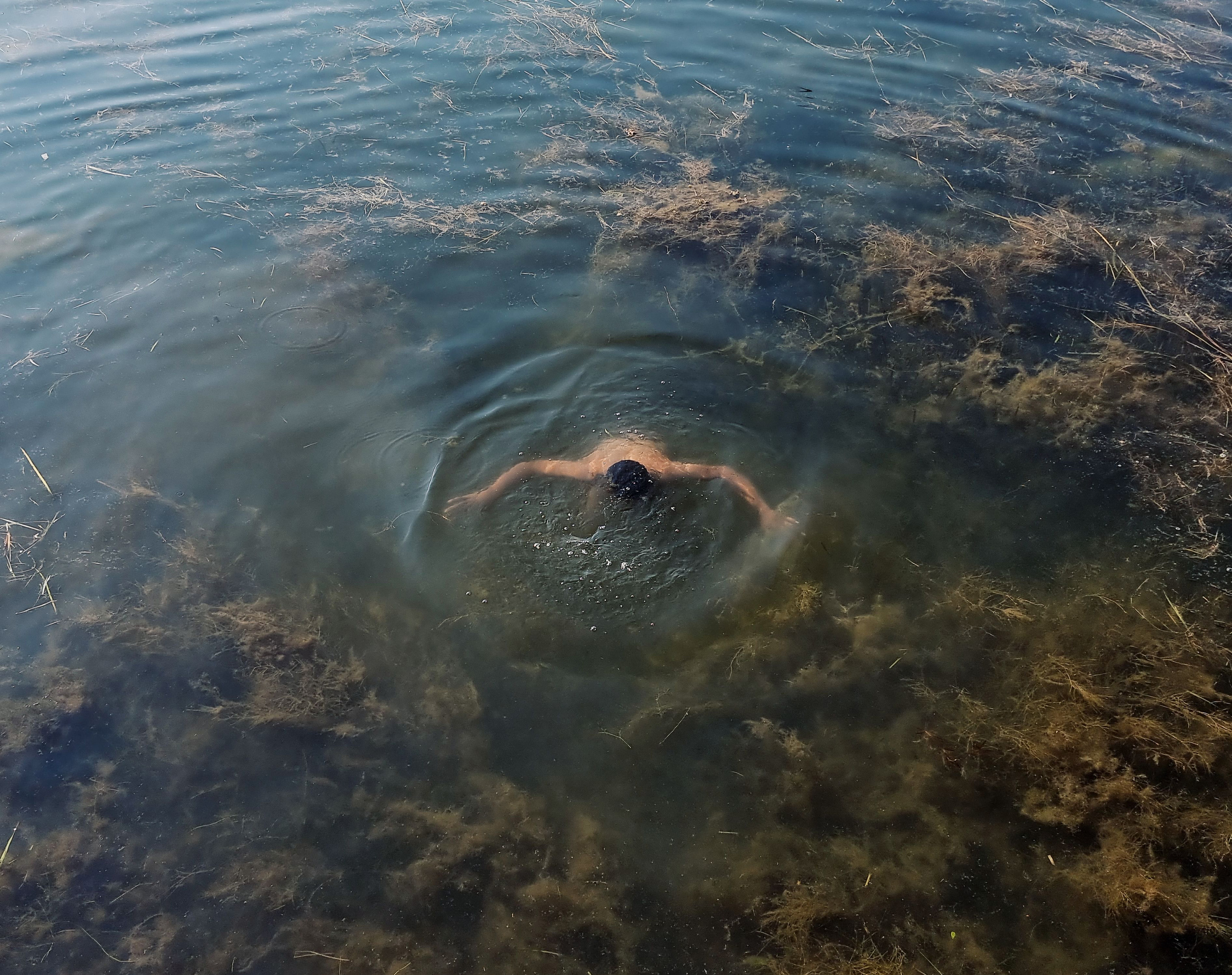 A person cleaning the Lakes of excessive sea vegetation due to hot climate as well as waste being dumped into the lake.