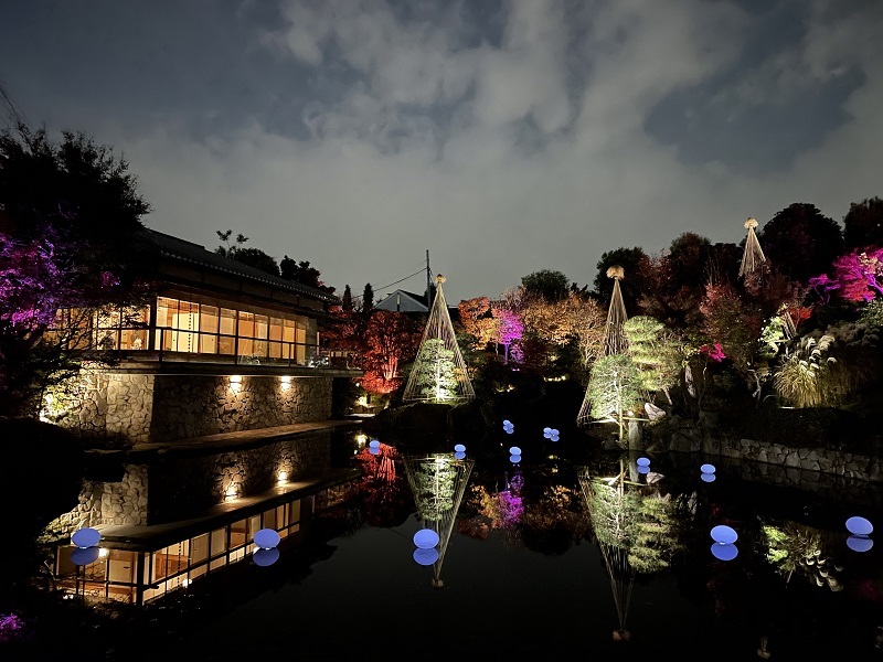 めじろアートナイト「庭園の紅葉ライトアップ」