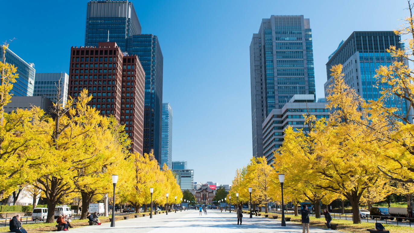 14 best parks, gardens and streets to see the autumn leaves in Tokyo