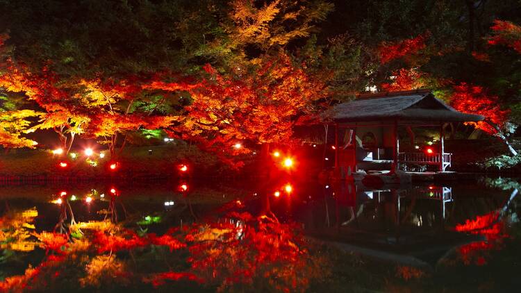 TOKYO RED GARDEN AUTUMN FESTIVAL 粋 2022