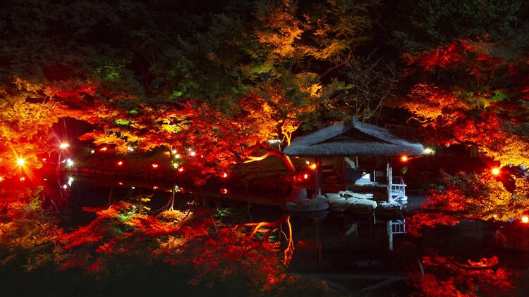 TOKYO RED GARDEN AUTUMN FESTIVAL 粋 2022