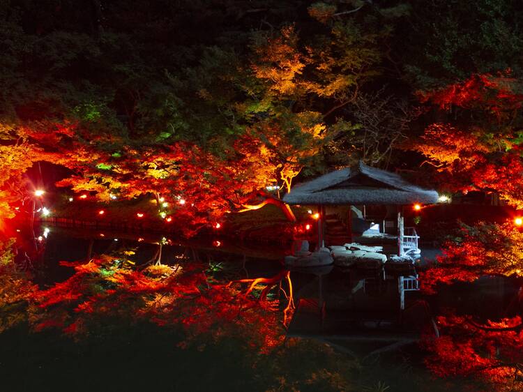Happo-en Tokyo Red Garden Autumn Festival