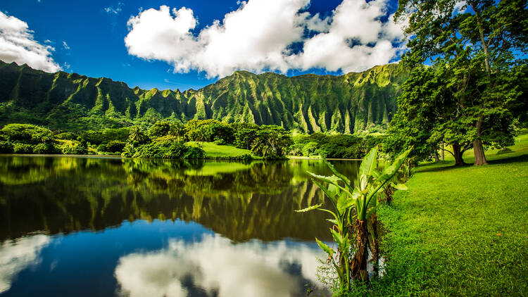 Ho’omaluhia Botanical Garden