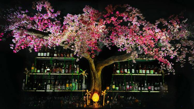 A sakura tree in a bar