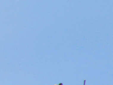 9 escapadas para disfrutar del mejor vino de la península y Airbnb donde alojarse 9 escapadas para disfrutar del mejor vino de la península y Airbnb donde alojarse