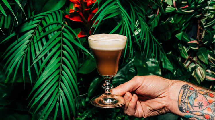 Hot Buttered Rum in front of green plants