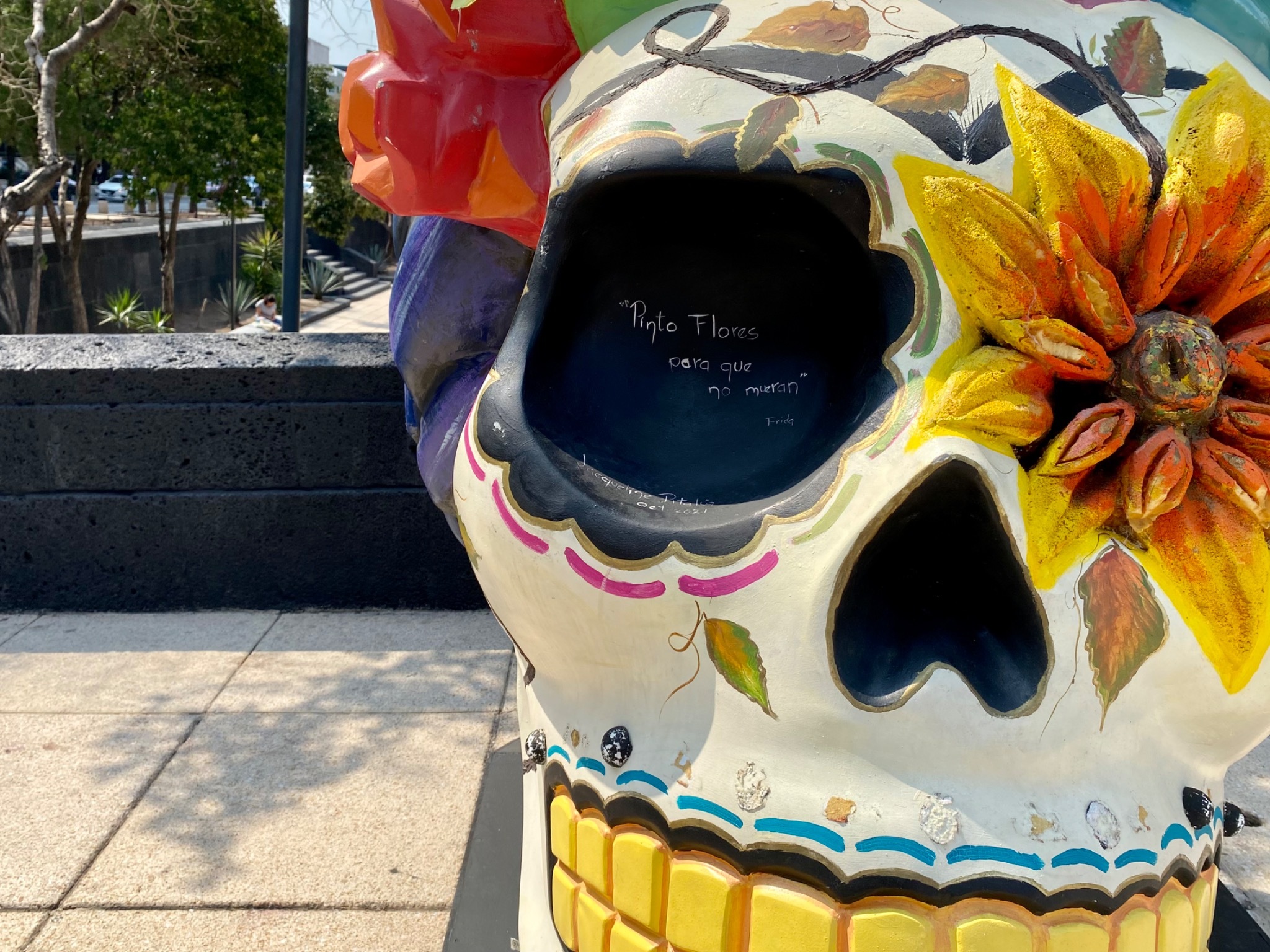 Fridacráneos CDMX