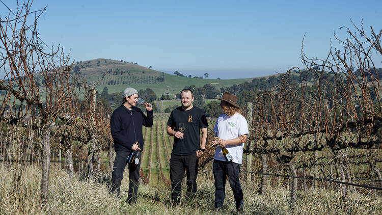 Three men stand in between two rows of vines in a vineyards drinking glasses of wines