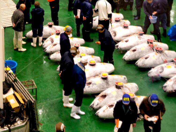 Tuna auction at Toyosu Market