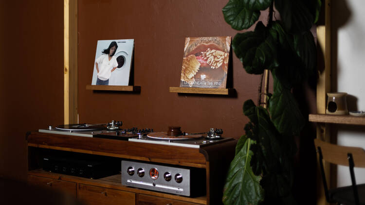 There is a vinyl record player with records displayed on the walls with a large pot plant standing next to it 