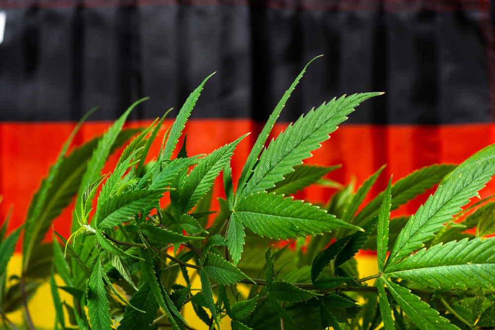 Germany Plans to Legalise Weed For Recreational and Personal Use