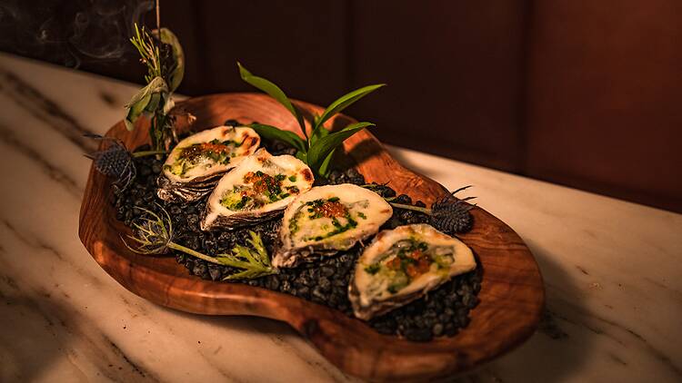 oysters (Aranka Media)