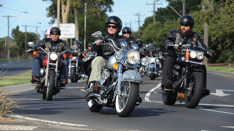 A group of people on Harley-Davidson bikes.