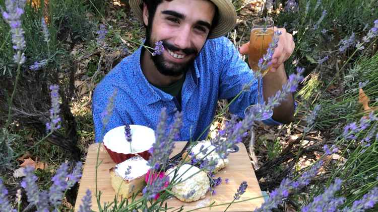 A man holding a platter of cheeses while crouched in a lavender field.
