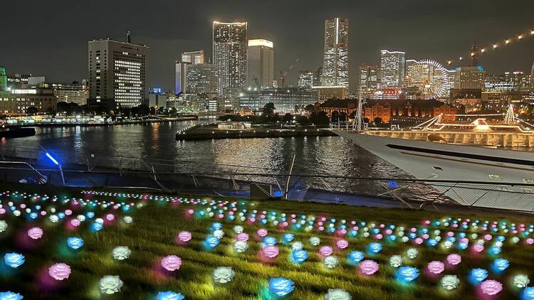 横浜港フォトジェニックイルミネーション