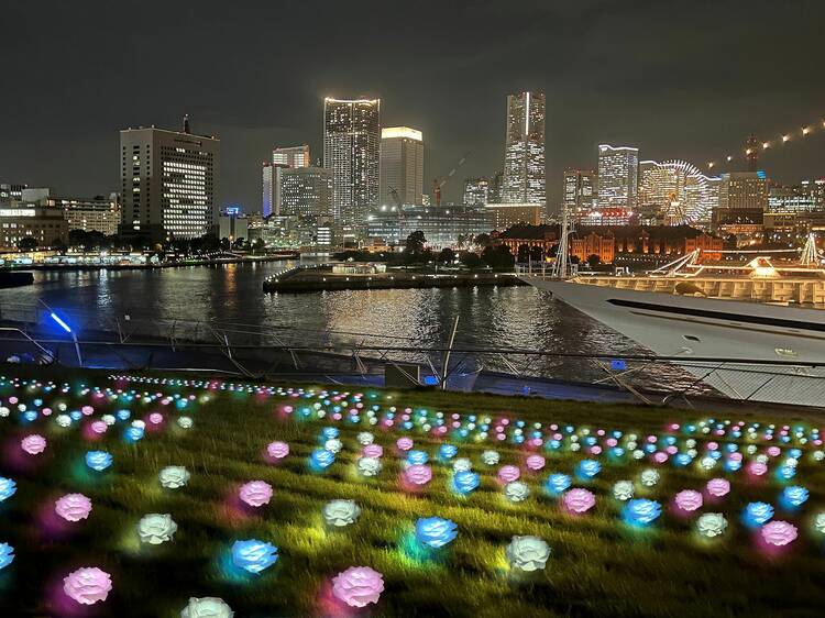 Yokohama Port Photogenic Illumination