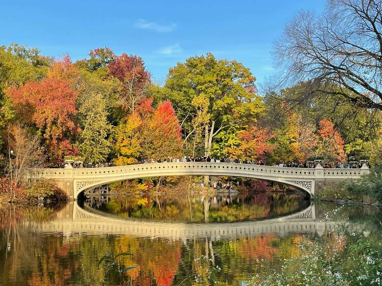 Dazzling fall foliage reflected in the water in Central Park.