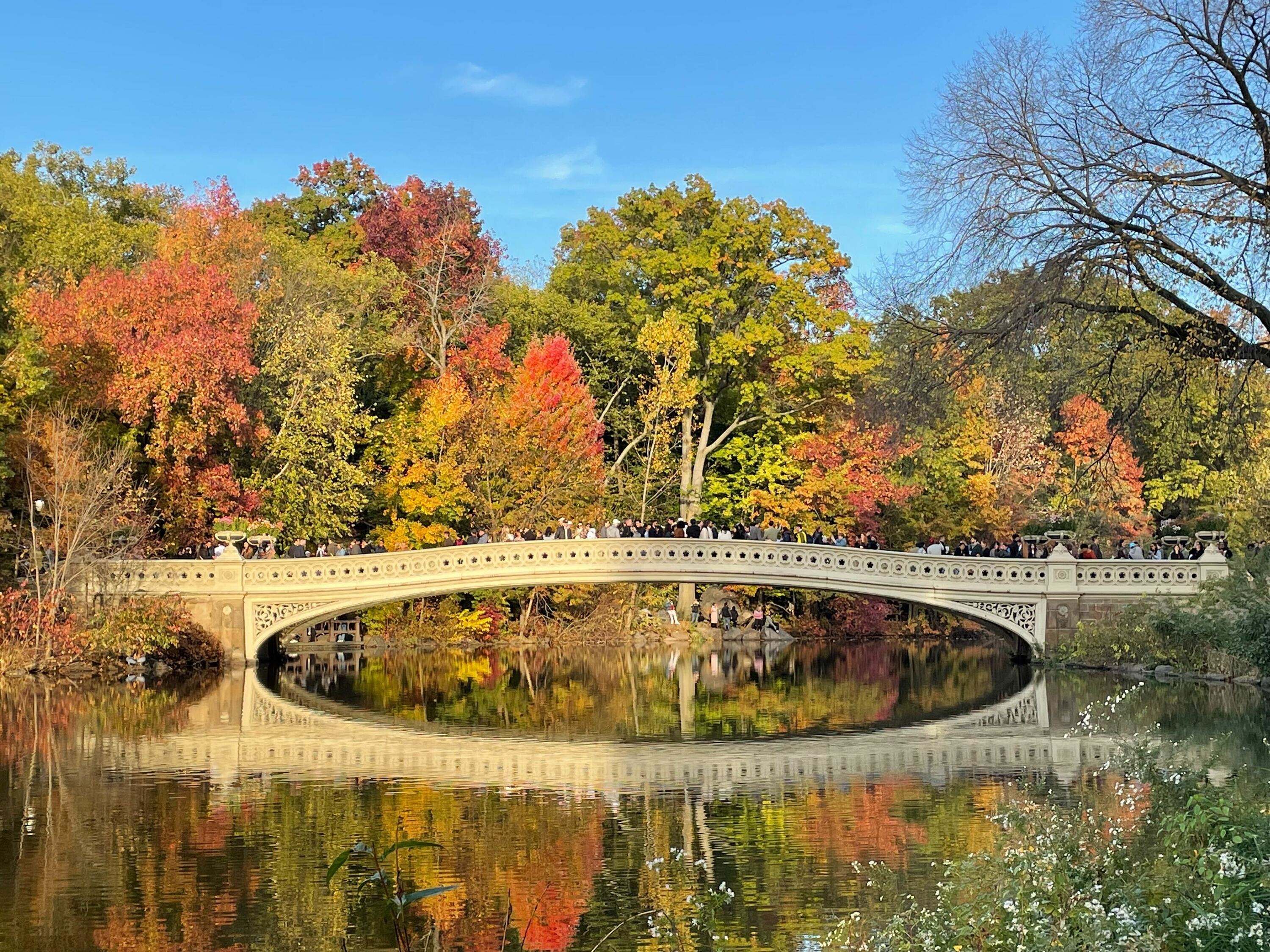 Where to See Fall Foliage in NYC this Autumn