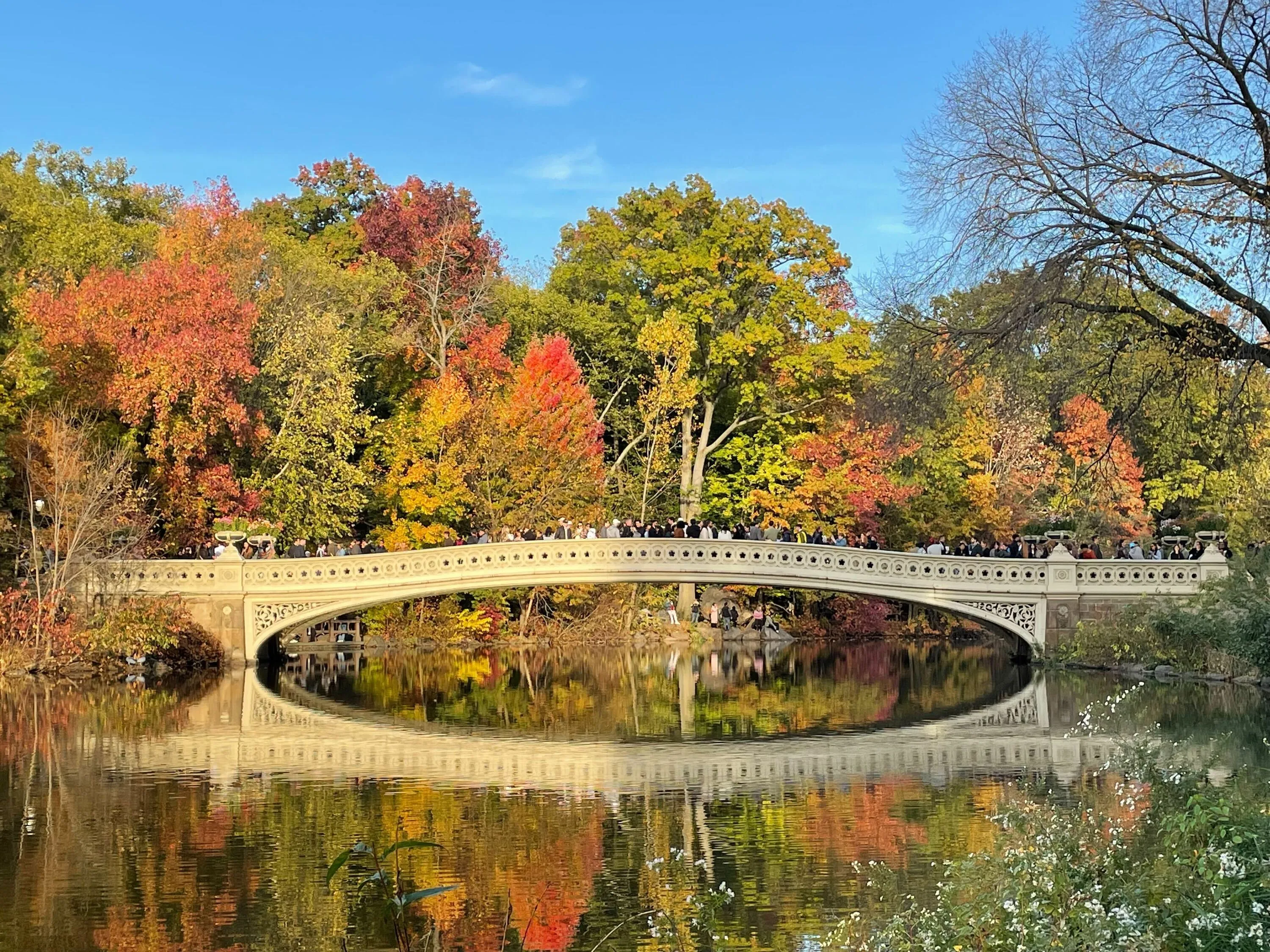 Dazzling fall foliage reflected in the water in Central Park.