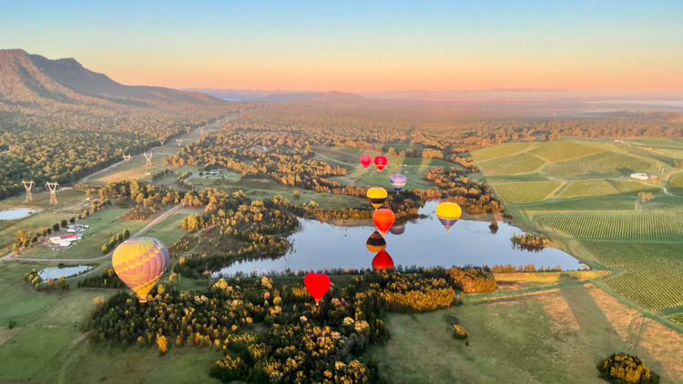 Aerial shot of hot air balloons in Hunter Valley 