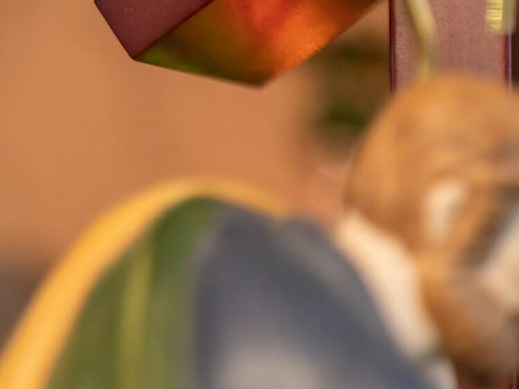 Nacimientos Mexicanos 2025 en el Museo de El Carmen